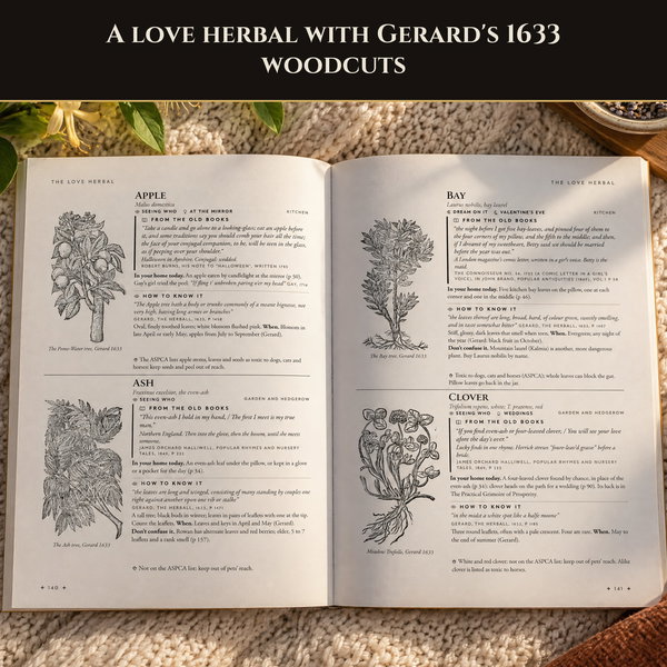 The Practical Grimoire of Love & Relationships - Image 4