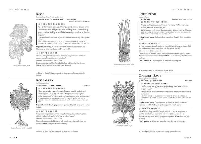 Pages 150 and 151 of the Love Herbal: rose, rosemary, soft rush and garden sage with Gerard's 1633 woodcuts