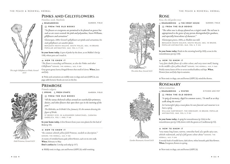 Four herbal entries, pinks, primrose, rose and rosemary, each with its Gerard woodcut of 1633