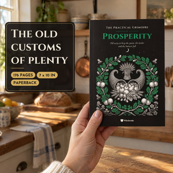 The Practical Grimoire of Prosperity - Image 1