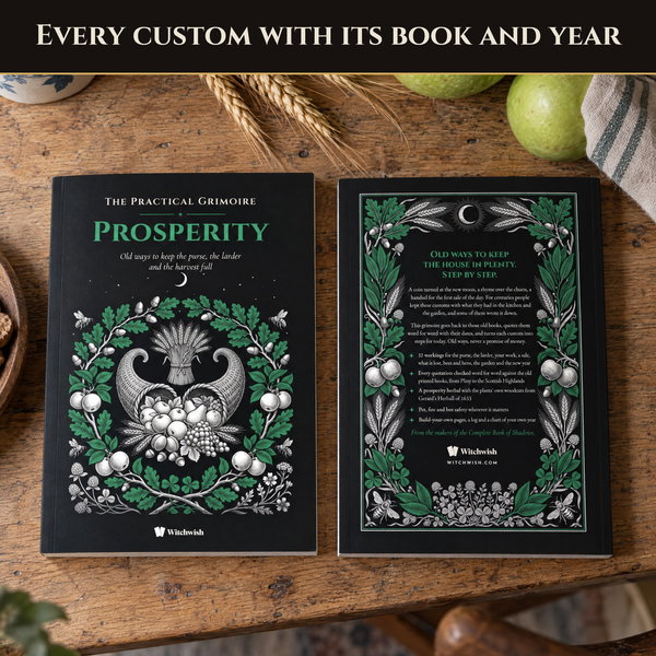 The Practical Grimoire of Prosperity - Image 2