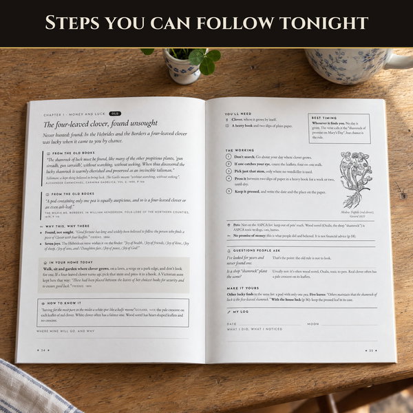 The Practical Grimoire of Prosperity - Image 3