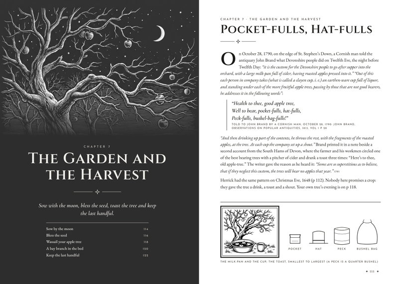 Chapter 7 opener: an engraved apple tree at night, beside the Cornish wassail told to John Brand in 1790