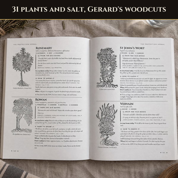 The Practical Grimoire of Protection - Image 4
