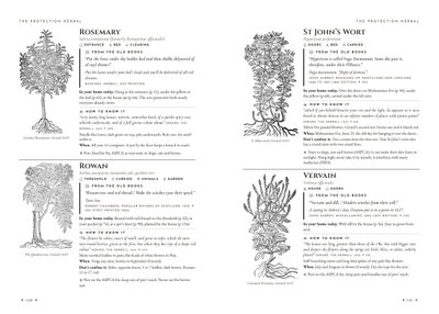 Pages 140 and 141 of the Protection herbal: rosemary, rowan, St John's wort and vervain, each with Gerard's 1633 woodcut, an old quotation, how to know it and a pet line