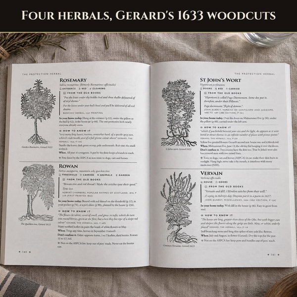 The Practical Grimoire: Complete Series - Image 5