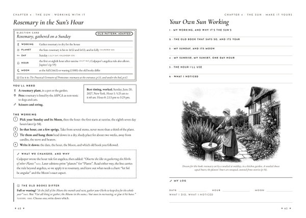Open book on Rosemary in the Sun's Hour: an election card, four numbered steps and what we changed, beside the Make It Yours worksheet with a drawing of rosemary cut by a sundial